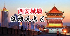 日韩屄屄BBw中国陕西-西安城墙旅游风景区